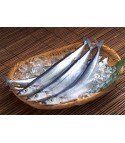 10K秋刀魚 Nama Sanma